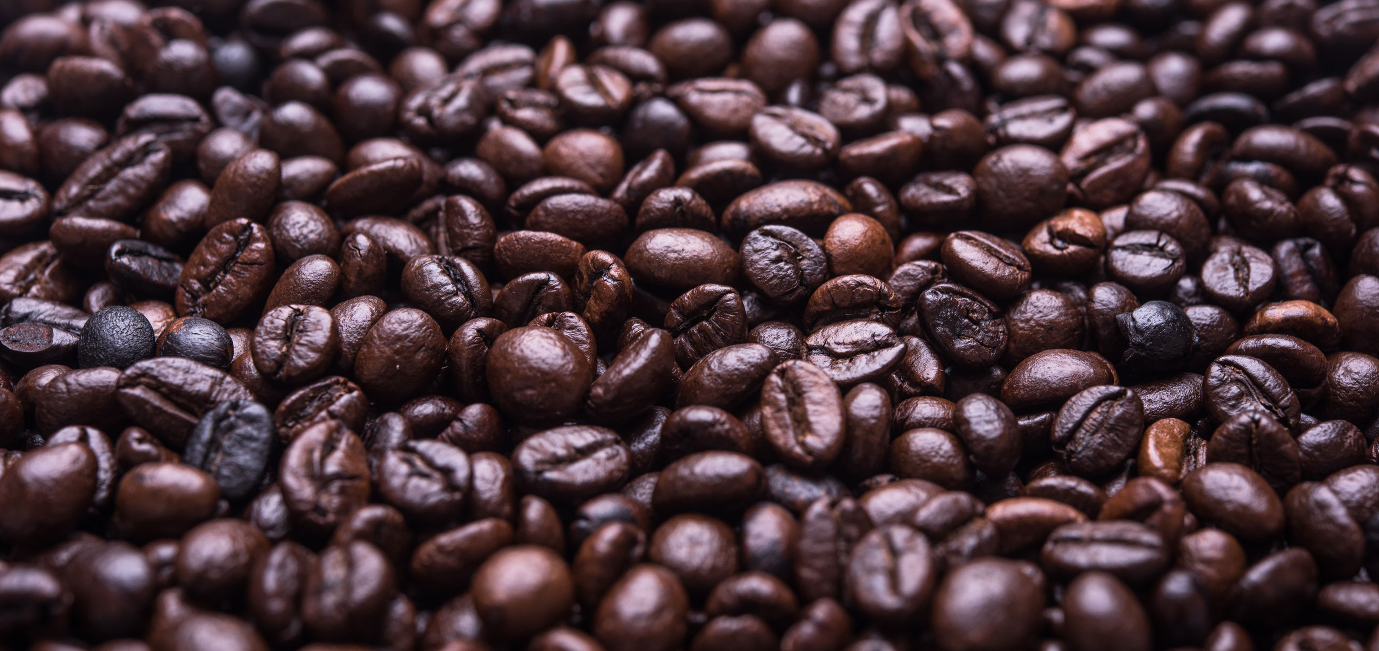 starbucks-case-study.jpg