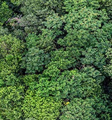 Arial Photo National Park